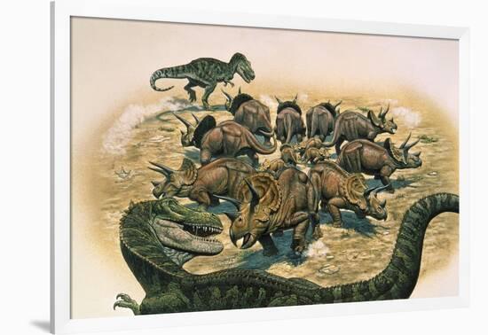 A Herd of Triceratops Defend their Territory Against a Pair of Tyrannosaurus Rex-null-Framed Art Print