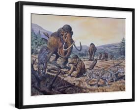 A Herd of Woolly Mammoth and Scimitar Sabertooth, Pleistocene Epoch-null-Framed Art Print