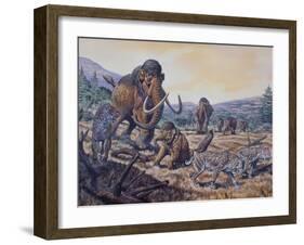 A Herd of Woolly Mammoth and Scimitar Sabertooth, Pleistocene Epoch-null-Framed Art Print