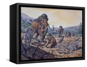 A Herd of Woolly Mammoth and Scimitar Sabertooth, Pleistocene Epoch-null-Framed Stretched Canvas