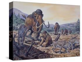 A Herd of Woolly Mammoth and Scimitar Sabertooth, Pleistocene Epoch-null-Stretched Canvas