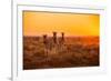 A Herd of Zebra Grazing at Sunrise in Etosha, Namibia-Udo Kieslich-Framed Photographic Print