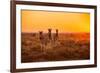 A Herd of Zebra Grazing at Sunrise in Etosha, Namibia-Udo Kieslich-Framed Photographic Print