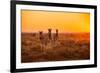 A Herd of Zebra Grazing at Sunrise in Etosha, Namibia-Udo Kieslich-Framed Photographic Print