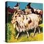 A Herd or Tribe of Goats-English School-Stretched Canvas