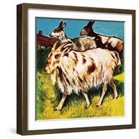 A Herd or Tribe of Goats-English School-Framed Giclee Print