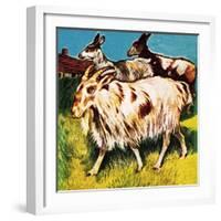 A Herd or Tribe of Goats-English School-Framed Giclee Print