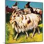 A Herd or Tribe of Goats-English School-Mounted Giclee Print