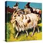 A Herd or Tribe of Goats-English School-Stretched Canvas