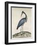 A Heron, 1789-William Hayes-Framed Giclee Print