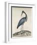 A Heron, 1789-William Hayes-Framed Giclee Print