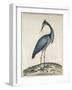 A Heron, 1789-William Hayes-Framed Giclee Print