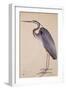 A Heron, C. 1820-null-Framed Giclee Print