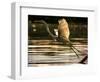 A Heron Takes Flight Over the Guanabara Bay in Rio De Janeiro, Brazil-null-Framed Photographic Print