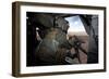 A Hh-60G Pave Hawk Gunner Fires His Gau-17 Machine Gun-null-Framed Photographic Print