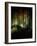 A Hidden World-Julie Fain-Framed Art Print