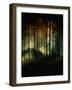 A Hidden World-Julie Fain-Framed Art Print