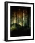 A Hidden World-Julie Fain-Framed Art Print