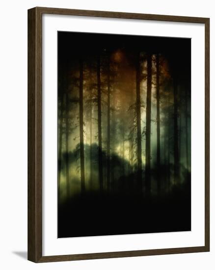 A Hidden World-Julie Fain-Framed Art Print