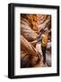 A Hiker Navigates Her Way Through Mystery Canyon, Zion National Park, Utah-Louis Arevalo-Framed Photographic Print