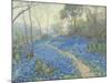 A Hillside of Bluebonnets - Early Morning, Near San Antonio Texas-null-Mounted Giclee Print