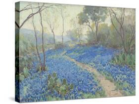 A Hillside of Bluebonnets - Early Morning, Near San Antonio Texas-null-Stretched Canvas