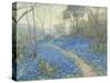 A Hillside of Bluebonnets - Early Morning, Near San Antonio Texas-null-Stretched Canvas