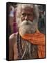 A Hindu Holy Man, or Sadhu, Near Manikula on the Outskirts of Kolkata-Nigel Pavitt-Framed Stretched Canvas