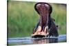 A Hippopotamus Yawning-Paul Souders-Stretched Canvas