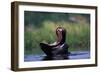 A Hippopotamus Yawning-Paul Souders-Framed Photographic Print