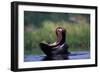 A Hippopotamus Yawning-Paul Souders-Framed Photographic Print