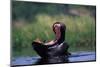 A Hippopotamus Yawning-Paul Souders-Mounted Photographic Print