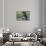 A Hippopotamus Yawning-Paul Souders-Photographic Print displayed on a wall