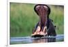 A Hippopotamus Yawning-Paul Souders-Framed Photographic Print