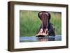 A Hippopotamus Yawning-Paul Souders-Framed Photographic Print