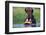 A Hippopotamus Yawning-Paul Souders-Framed Photographic Print