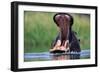 A Hippopotamus Yawning-Paul Souders-Framed Photographic Print