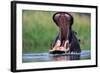A Hippopotamus Yawning-Paul Souders-Framed Photographic Print