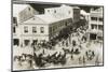 A Hive of Activity on a Main Street in Hamilton, Bermuda-null-Mounted Photographic Print