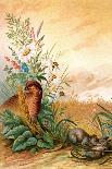 Parrot in a Tree Above Hummingbrds-A. Hochstein-Stretched Canvas