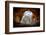 A Hole in the Wall-null-Framed Art Print