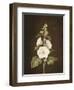 A Hollyhock-Barbara Regina Dietzsch-Framed Giclee Print