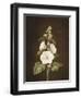 A Hollyhock-Barbara Regina Dietzsch-Framed Giclee Print