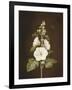 A Hollyhock-Barbara Regina Dietzsch-Framed Giclee Print