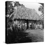 A Home in the Interior of the Island of Cuba-HC White-Stretched Canvas