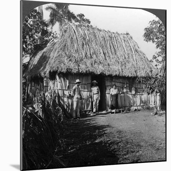 A Home in the Interior of the Island of Cuba-HC White-Mounted Photographic Print