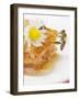 A Honeycomb, a Bee and a Daisy-null-Framed Photographic Print