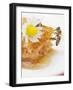 A Honeycomb, a Bee and a Daisy-null-Framed Photographic Print