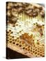 A Honeycomb with Bees-Matilda Lindeblad-Stretched Canvas