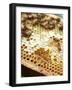 A Honeycomb with Bees-Matilda Lindeblad-Framed Photographic Print